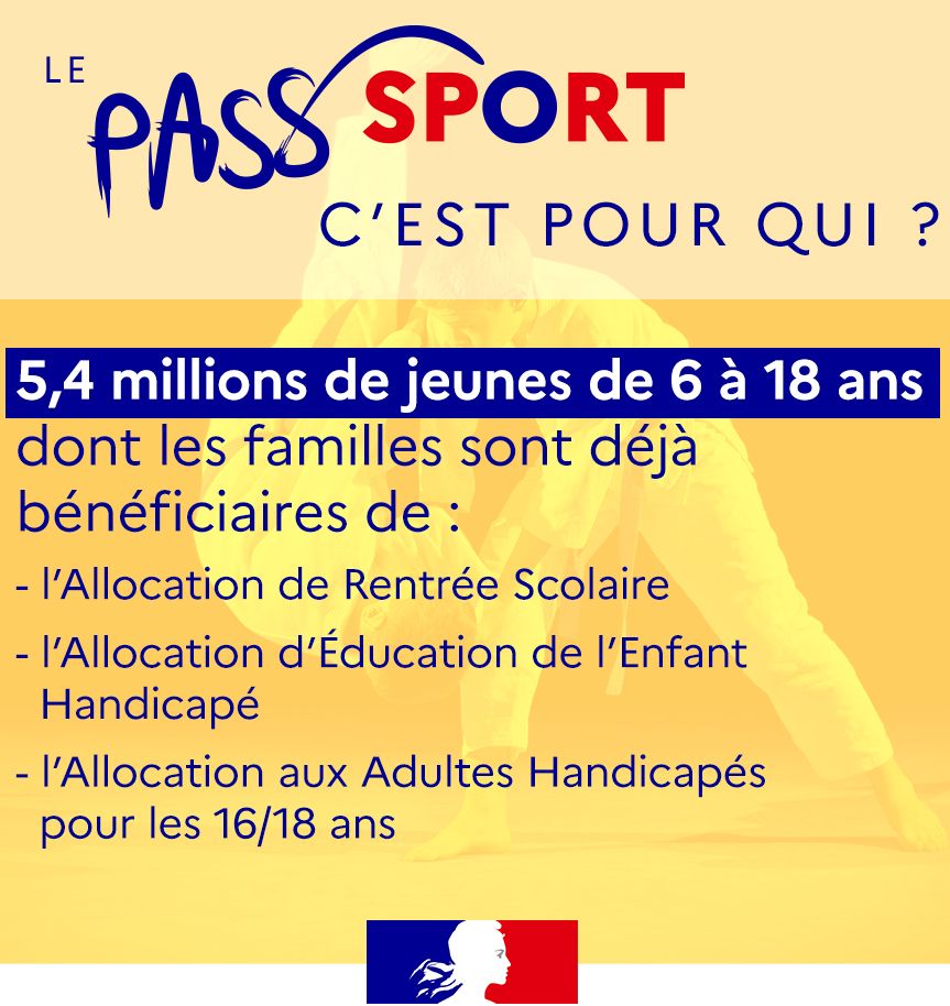 passsportvignette2_jaune.jpg